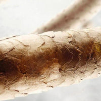 Maxxelle Hair Recovery treatment 200ml